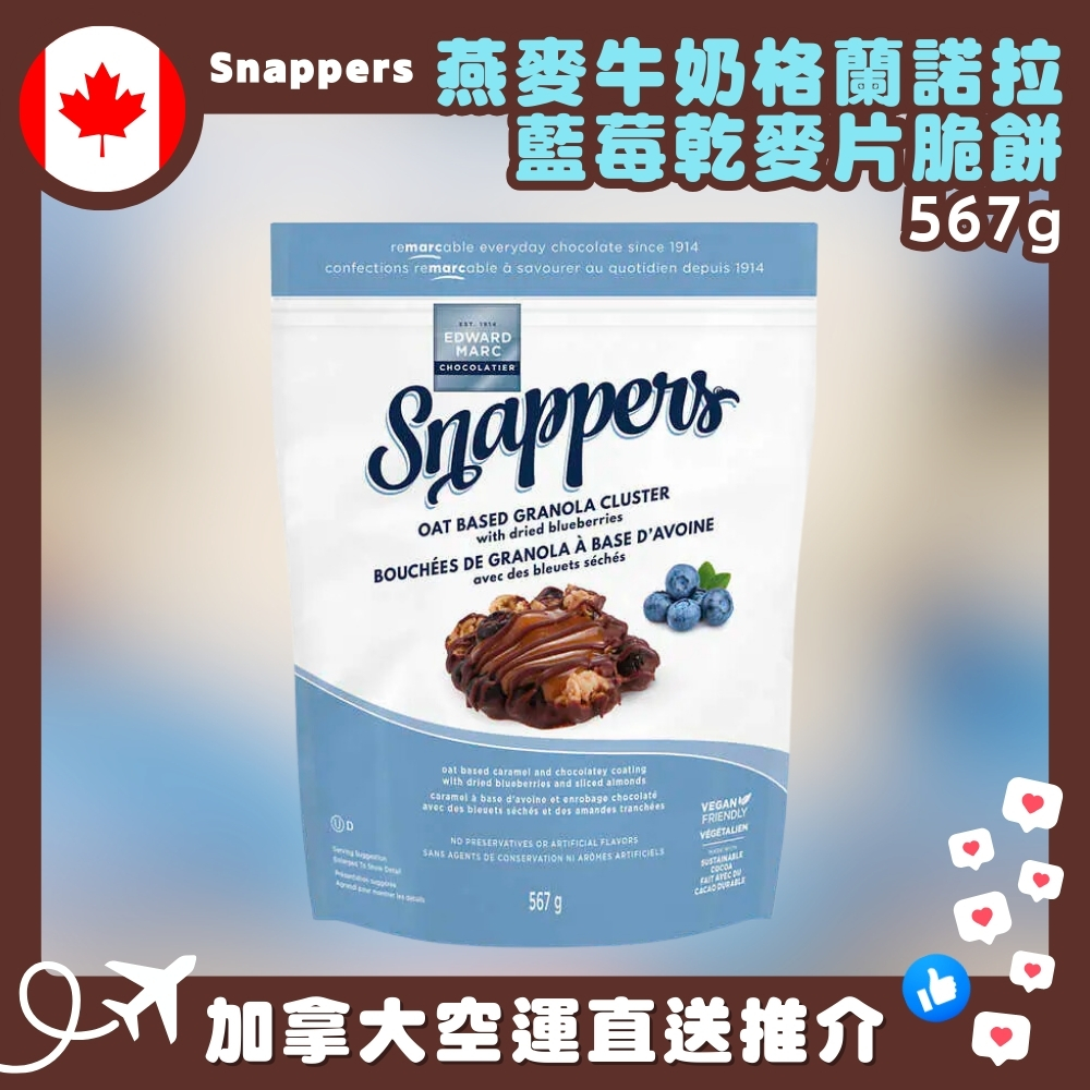 【加拿大空運直送】 Snappers Oat Milk Granola Cluster With Dried Blueberries 燕麥牛奶格蘭諾拉藍莓乾麥片脆餅 567g